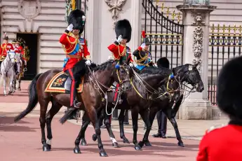 Prince William at Trooping the Colour.
