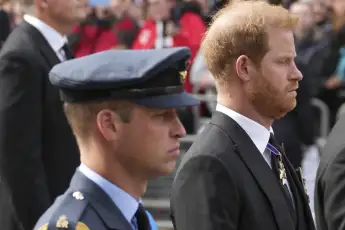 Prince William and Prince Harry argue
