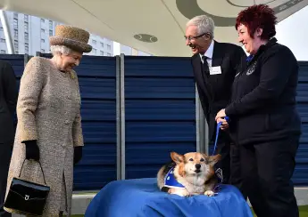 Queen Elizabeth And Her Corgis