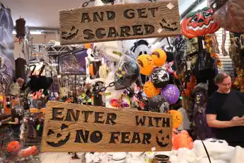 halloween costume disguise