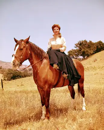 'Gunsmoke' Star Amanda Blake This Was Her Life