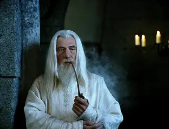 Ian McKellen played Gandalf in The Lord of the Rings