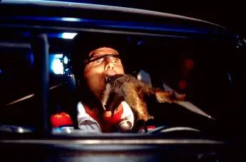 THE EXTREME ADVENTURES OF SUPER DAVE, Bob Einstein, 2000, (c) MGM/courtesy Everett Collection MGM/Courtesy Everett Colle