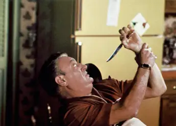 EASY MONEY, Rodney Dangerfield, 1983, (c)Orion Pictures/courtesy Everett Collection Orion Pictures Corp/Courtesy Everett