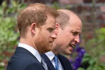 Prince Harry and Prince William project