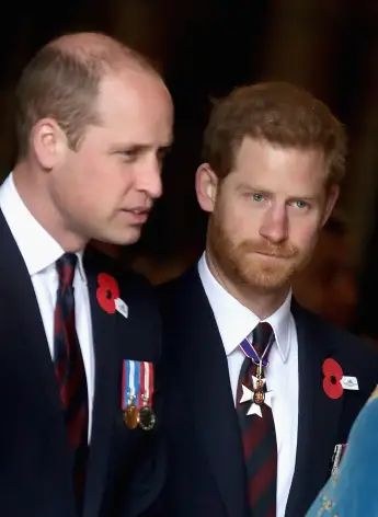 Prince William and Prince Harry