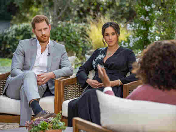The royal author names alleged family member Harry & Meghan for racism and blames the Oprah interview with Princess Anne Archie for alleged skin color comments