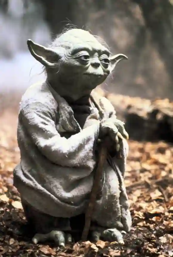 "Yoda