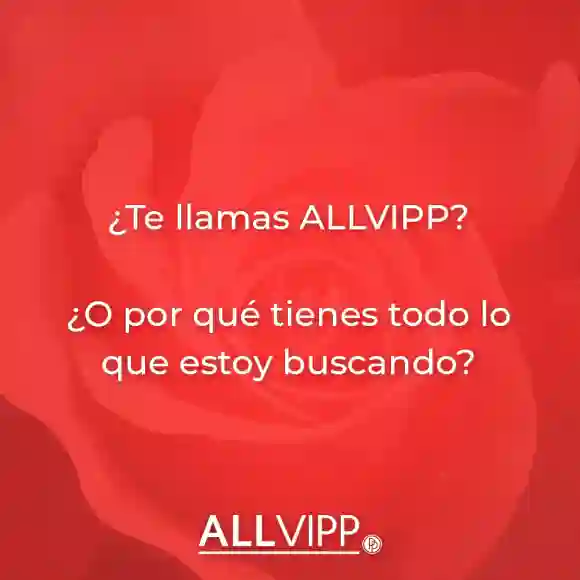 Allvipp