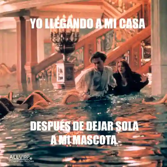 Meme Titanic