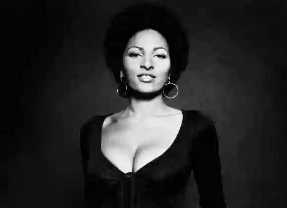 The Biggest Sex Symbols Of The 1970s male female men women stars actors TV film hot pictures photos retro Pam Grier