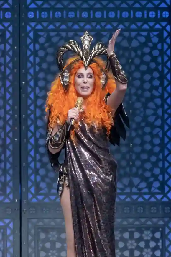 Celebs Who Have Had A Las Vegas Residency Show!