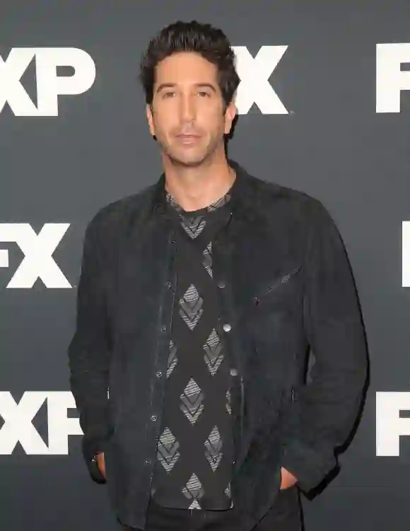 David Schwimmer attends the FX TCA Winter Press Tour Panel