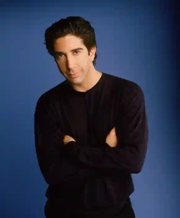 David Schwimmer starred in the series "Friends"