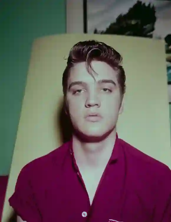 Elvis Presley Music Legend KArate