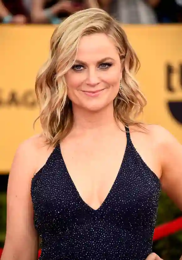 Female Comedians-Amy Poehler