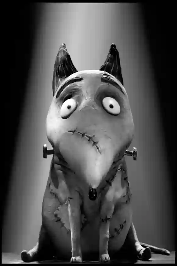 Frankenweenie (2012) dirigida por Tim Burton película de animación stop motion