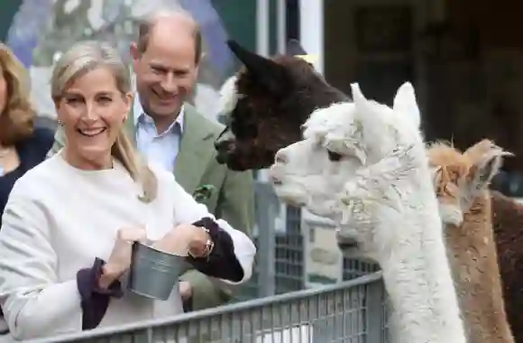 The Earl And Countess Of Wessex Visit Vauxhall City Farm