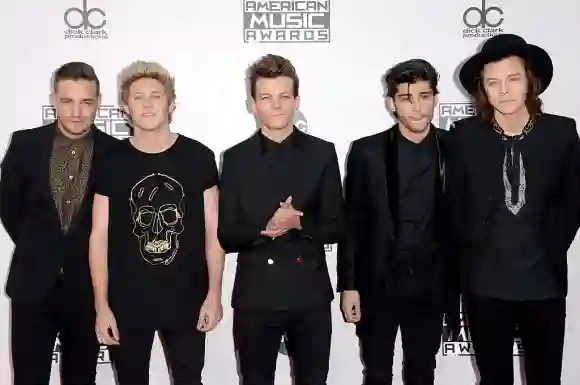 2014 American Music Awards - Arrivals