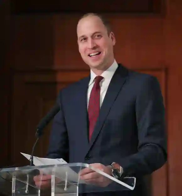 Prince William in 2017