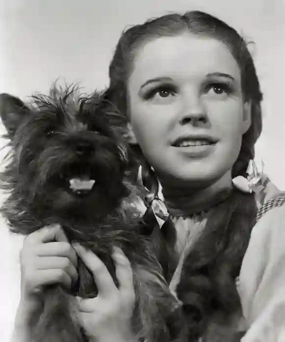 Judy Garland 'The Wizard of Oz' 1939