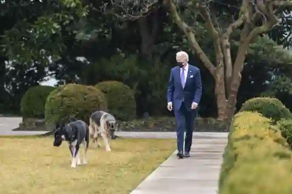 Joe Biden Confirms Death Of Presidential Pet Dog Champ German Shepherd tribute announcement photos picture 2021 news