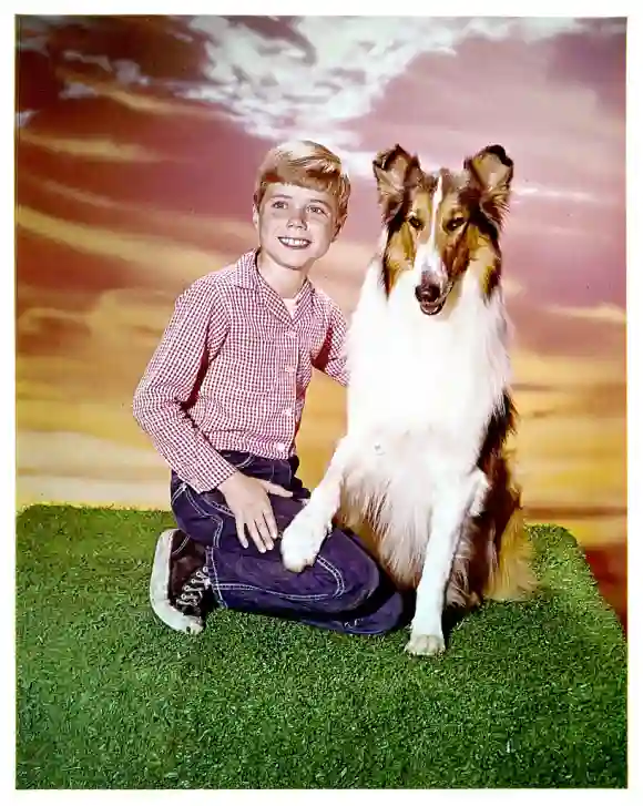 Jon Provost and "Lassie" in the 1954 series