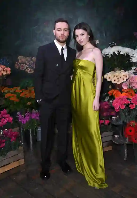 Liam Payne Fiancée Maya Henry Age One Direction 2020
