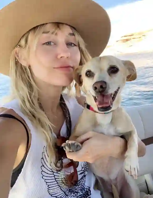Miley Cyrus and 'Bean'