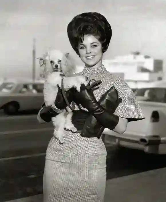 Priscilla Presley in the sixties