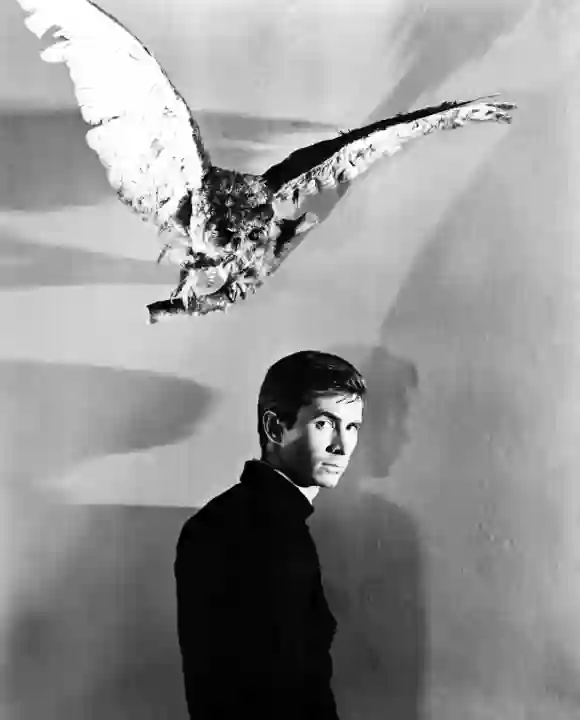 Anthony Perkins dans le rôle de "Norman Bates" dans Psycho (1960, Alfred Hitchcock).