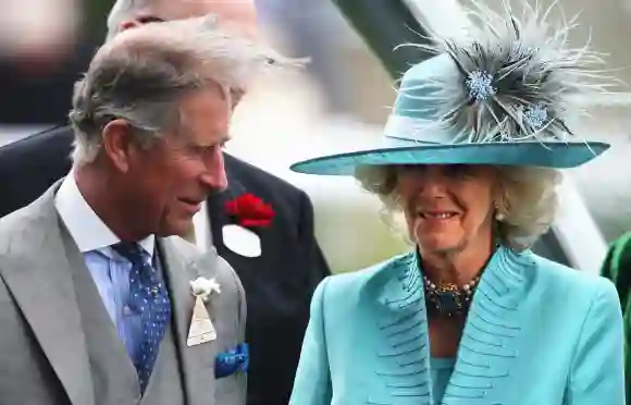 Royal family funny awkward pictures moments Prince Charles hair and Duchess Camilla in 2008.