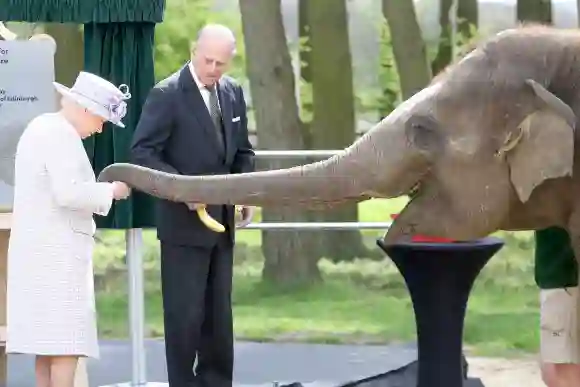 Royal family funny awkward pictures moments Queen Elizabeth II and Prince Philip feed Donna the elephant in 2017.