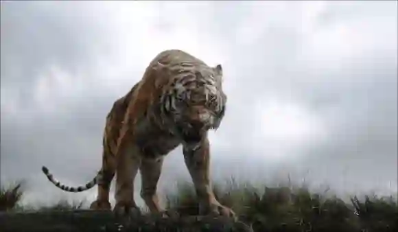 THE JUNGLE BOOK, Shere Khan (voice: Idris Elba), 2016. Walt Disney Studios Motion Pictures / courtesy Everett Collection
