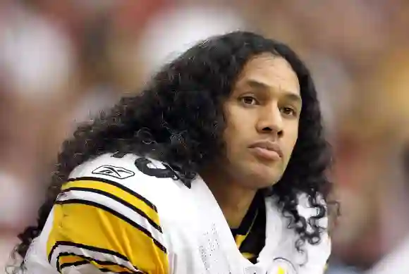 These Stars Have Insured Their Body Parts: Troy Polamalu