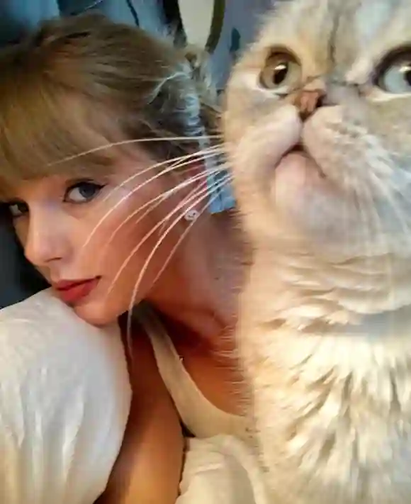 Taylor Swift and 'Olivia'