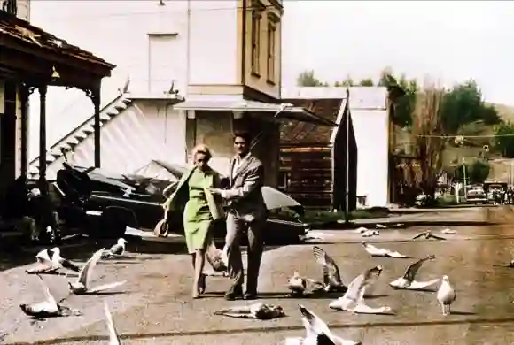 La actriz Tippi Hedren y el actor Rod Taylor en la película del director Alfred Hitchcock The Birds (1962).