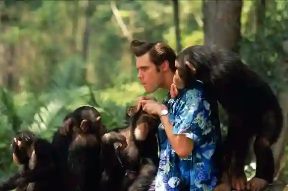 Ace Ventura, when nature calls: Although not as highly praised as the first film, Carrey's performance is still flawless and very funny when we are not following the story line. One particular scene involving a rhino has been remembered by many as a landmark Carrey moment.