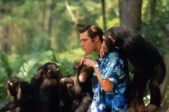 Ace Ventura, cuando la naturaleza llama: Aunque no es tan elogiada como la primera película, la actuación de Carrey sigue perfecta y muy chistosa cuando no estamos siguiendo la línea de historia. Una escena en particular involucrando un rinoceronte ha sido recordada por muchos como un momento histórico de Carrey.