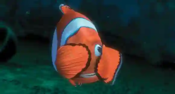 "Buscando a Nemo" del año 2003
