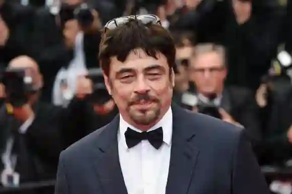 Benicio del Toro