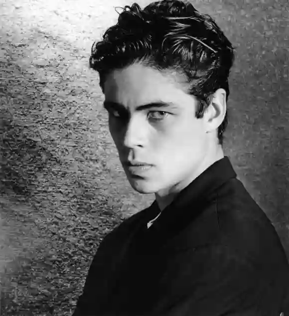 Benicio del Toro