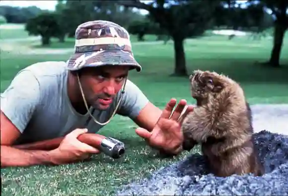 Bill Murray in 'Caddyshack'