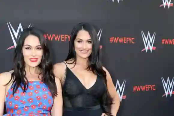 WWE For Your Consideration Event, LOS ANGELES - JUN 6:  Brie Bella, Nikki Bella at the WWE For Your