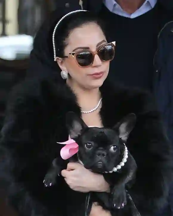 Lady Gaga s Dog-Walker Shot And Bulldogs Stolen File photo dated December 22, 2014 of US singer Lady Gaga leaving her ap