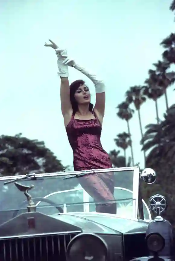 Charlene Holt