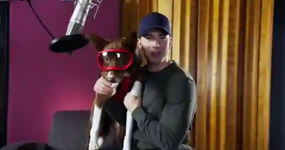 SUPERPOWER DOGS, Henry, narrator Chris Evans, 2019. IMAX /courtesy Everett Collection !ACHTUNG AUFNAHMEDATUM GESCHÄTZT!