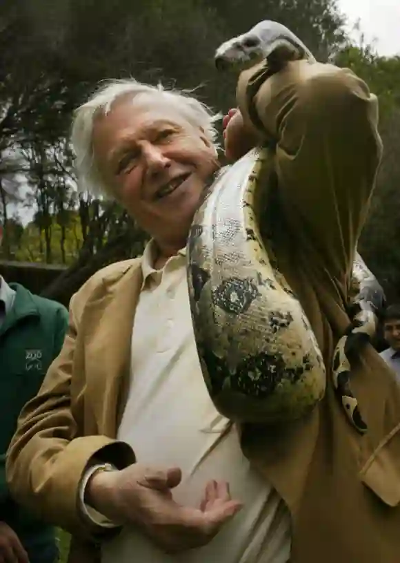 David Attenborough