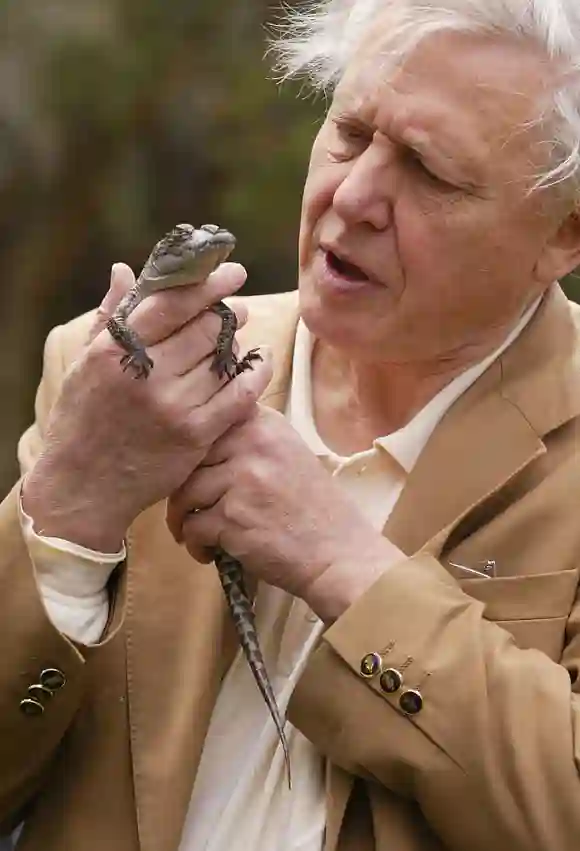 David Attenborough