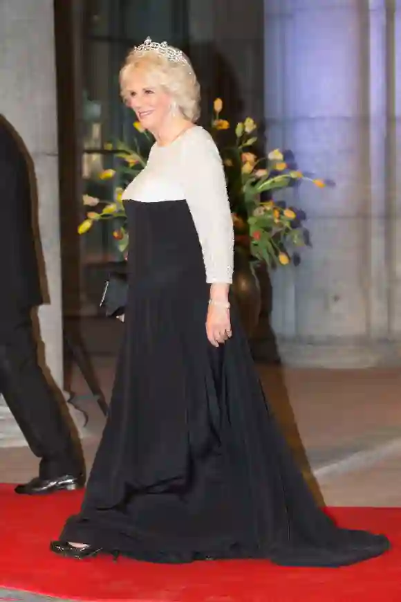 Camilla, Duchess of Cornwall attends a dinner hosted by Queen Beatrix of The Netherlands ahead of her abdication at Rijksmuseum on April 29, 2013 in Amsterdam, Netherlands